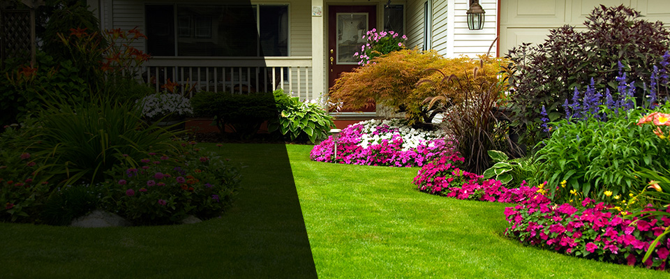 Port Isabel Landscapers