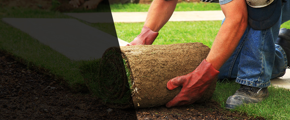 Port Isabel Landscapers